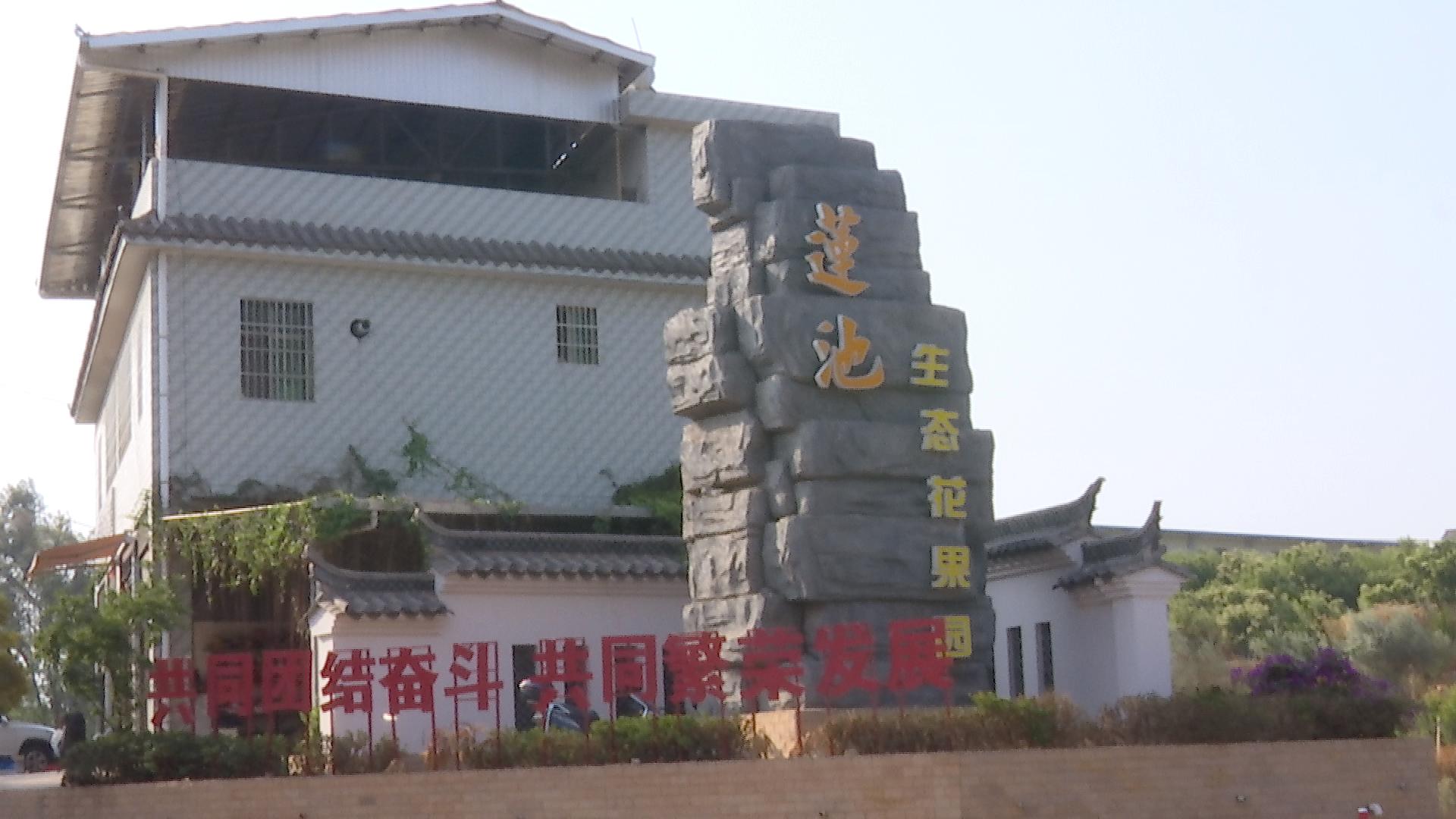 莲池1.jpg