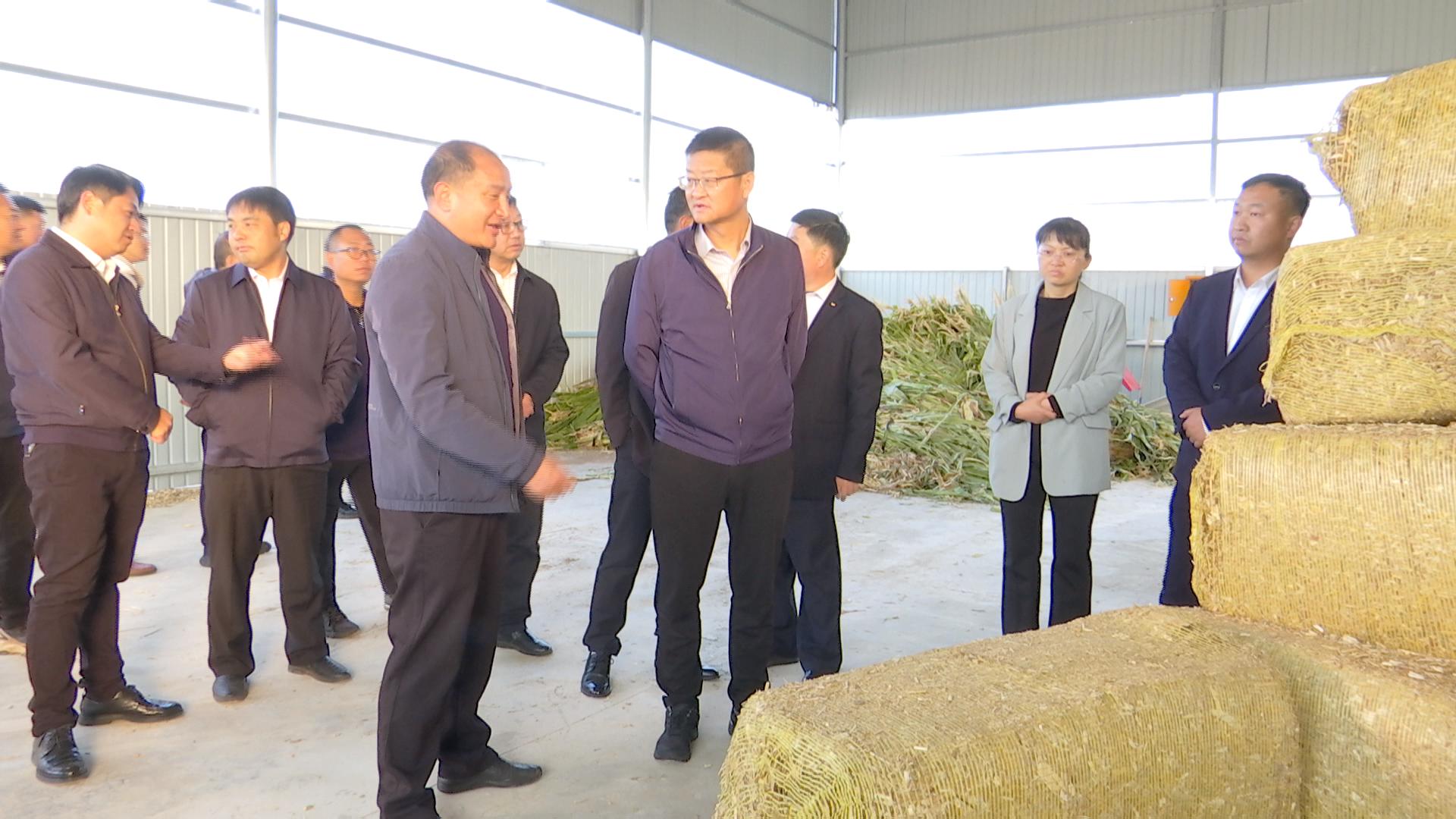 永仁县现场推进2023年肉牛产业高质量发展