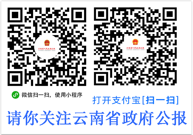 《云南省人民政府公报》