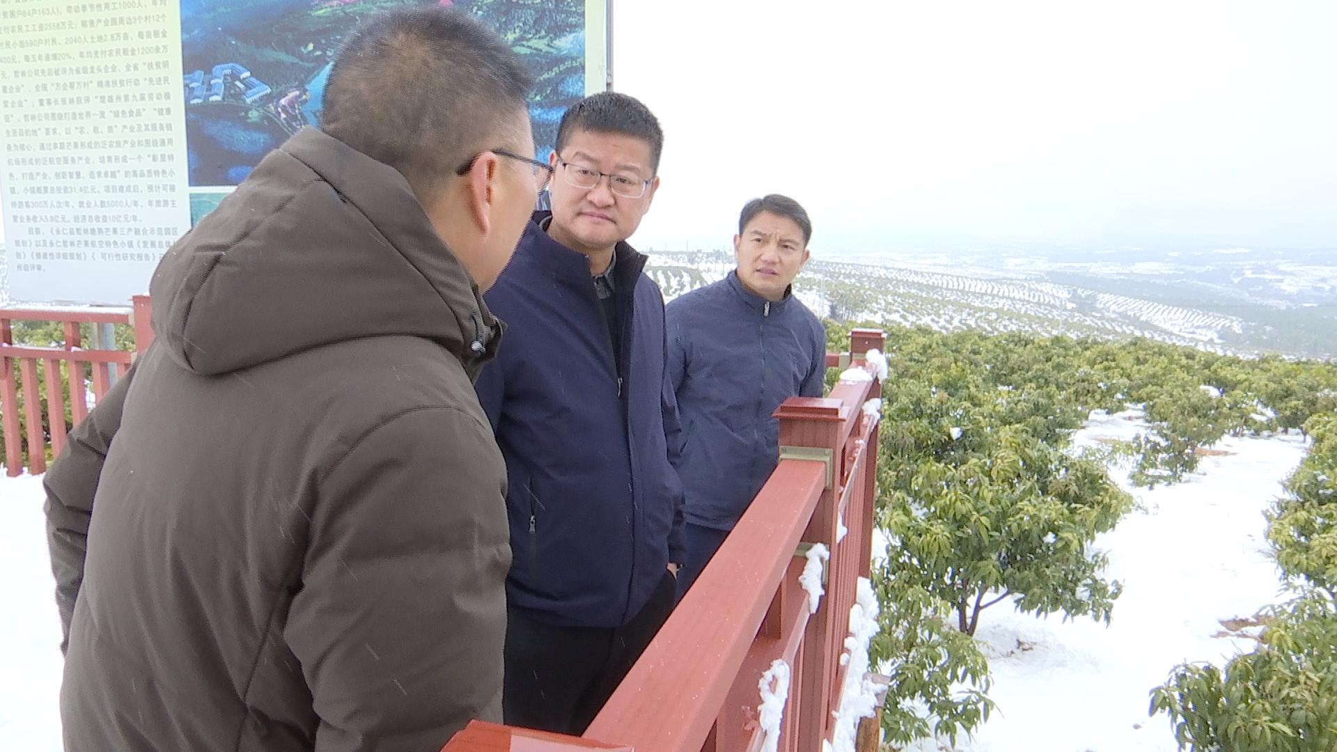 书记调研7.jpg