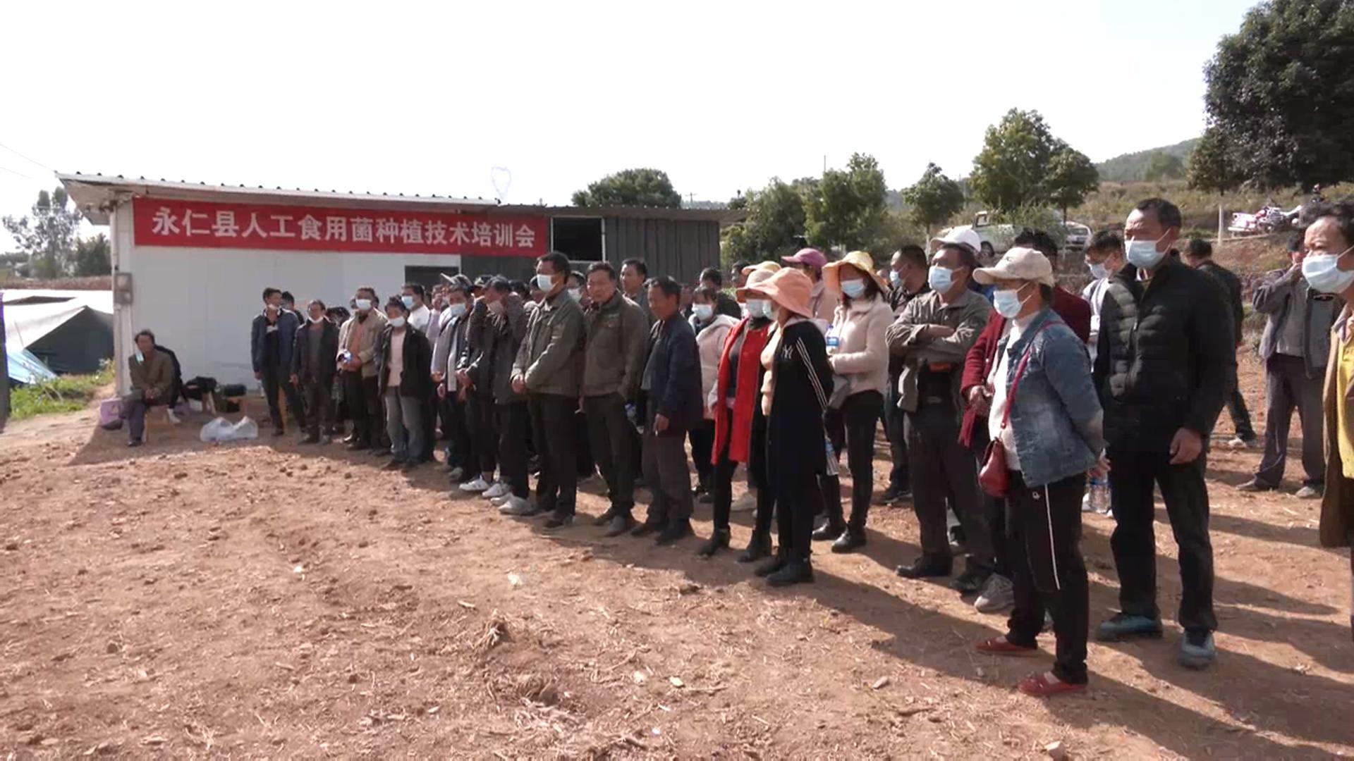 羊肚菌4.jpg