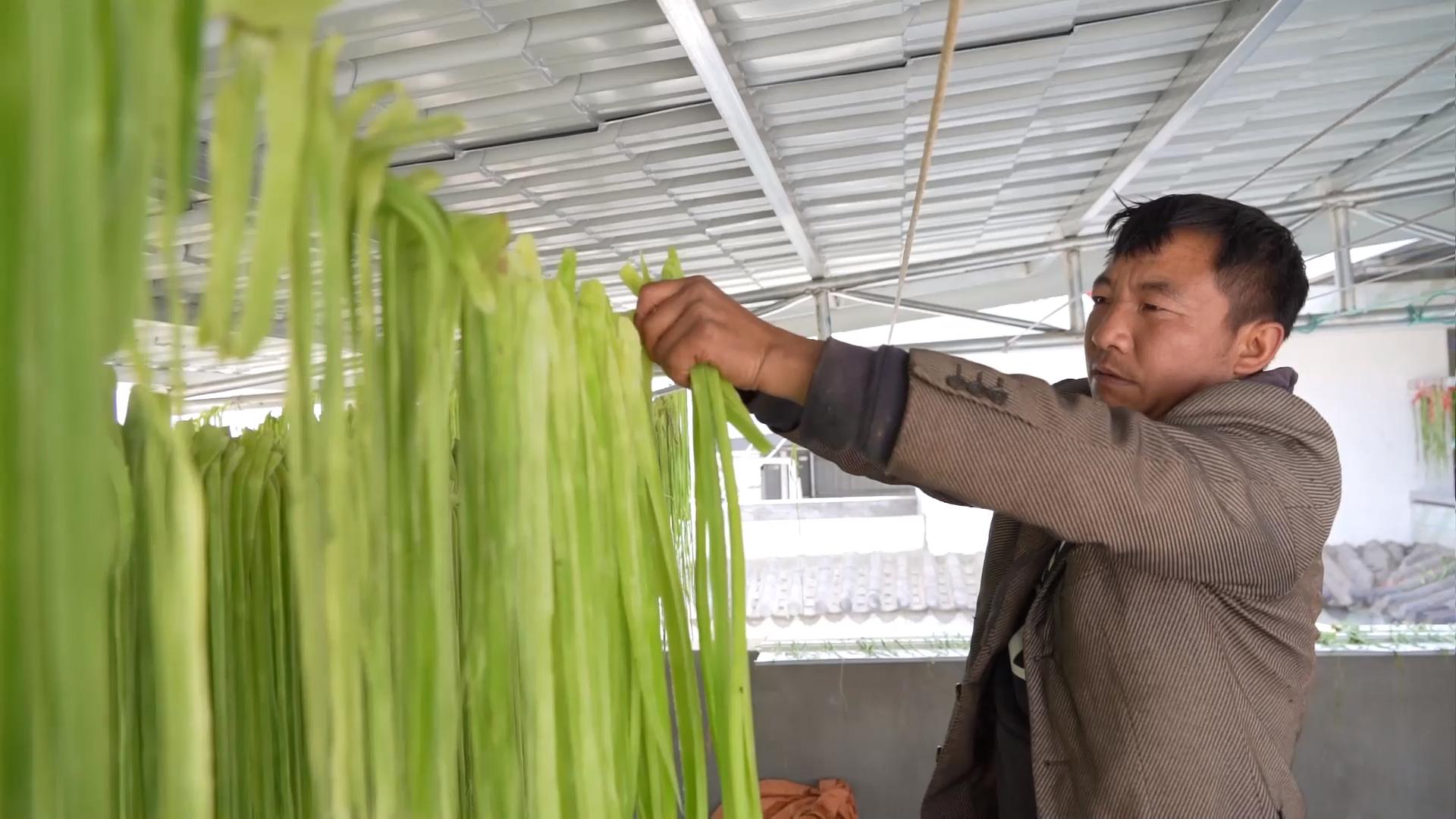 凉拌贡菜怎么做_凉拌贡菜的做法_豆果美食