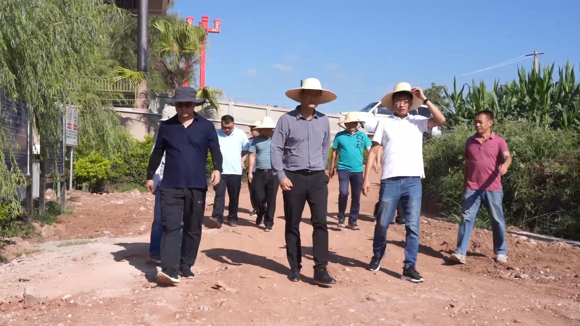 调研6.jpg