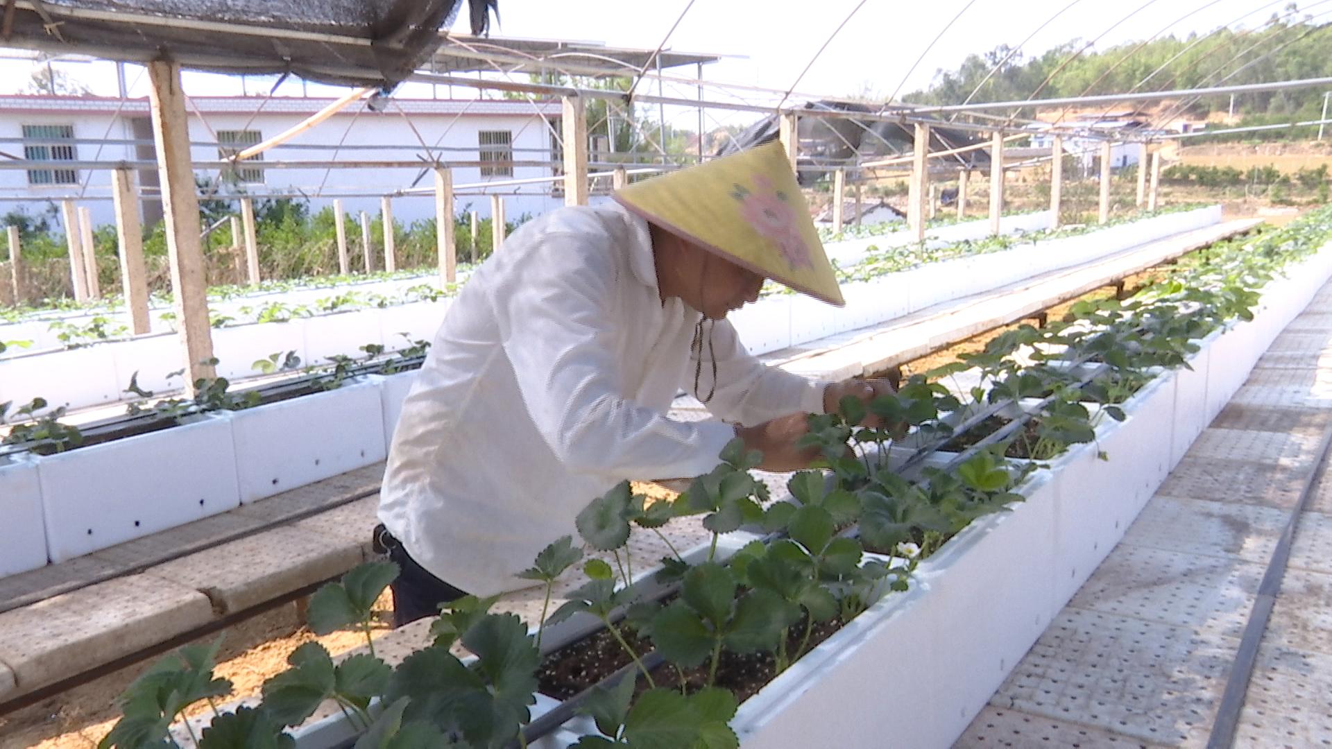 莲池6.jpg