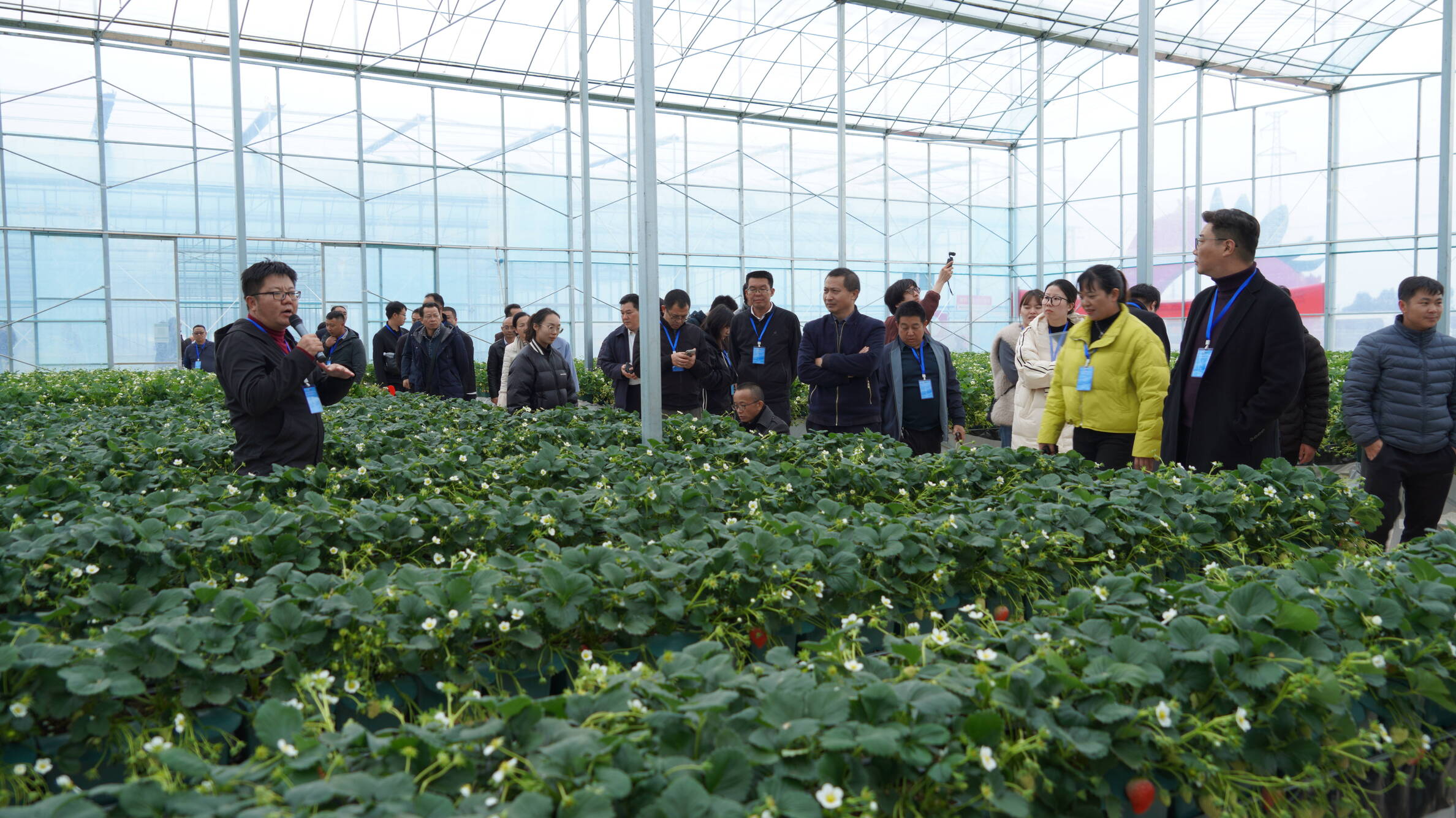 复制图片 复制图片