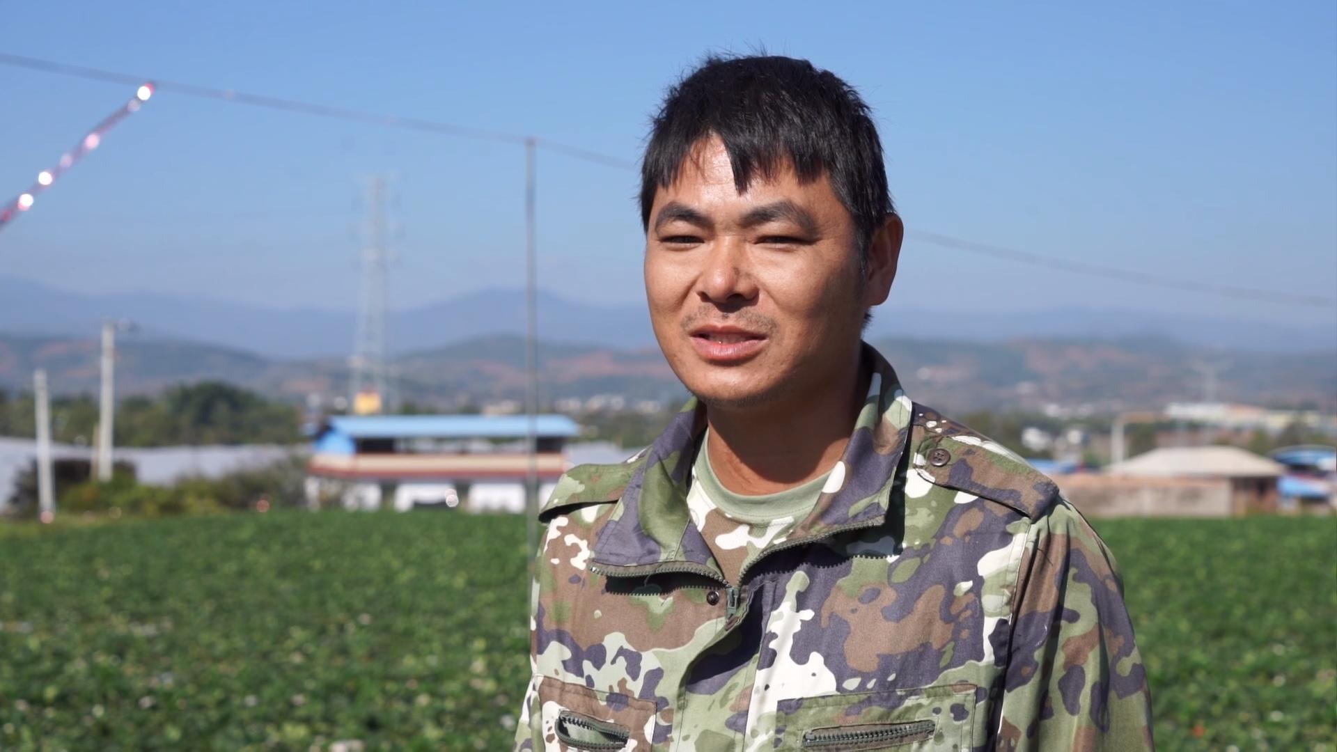 草莓 高文兵.jpg