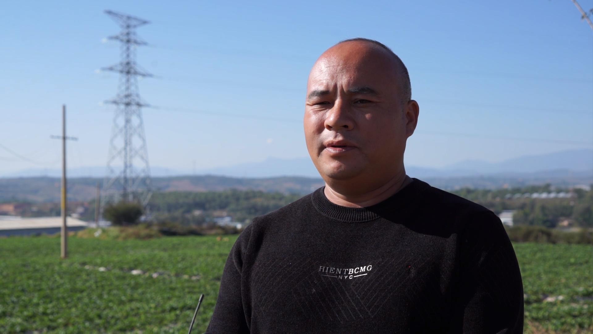 草莓 袁宏东.jpg