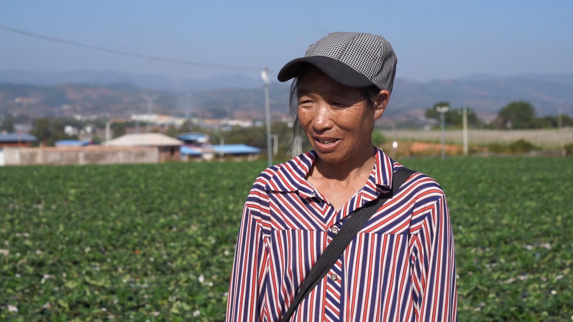 草莓 李华兰.jpg