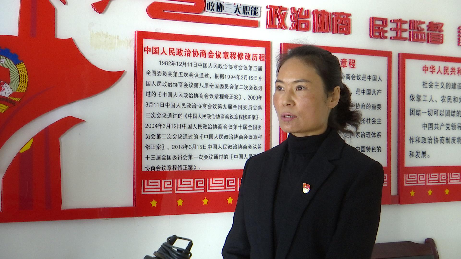 杨丽萍.jpg