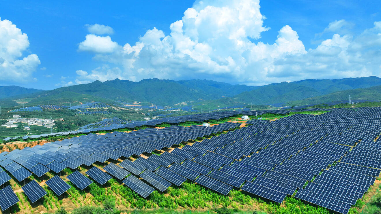 板下种桑7.jpg 板下种桑7.jpg