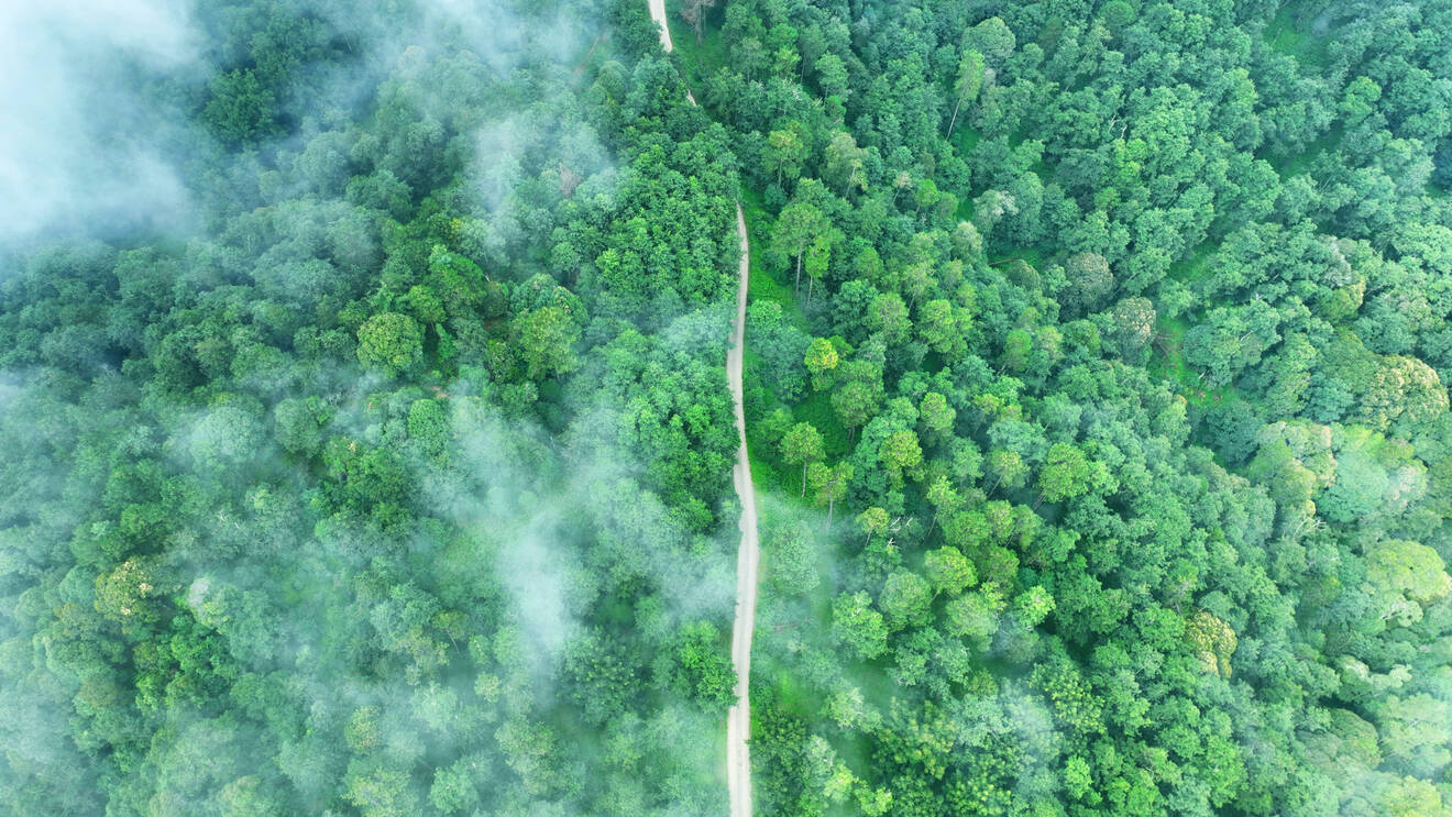 DJI_0452 改.jpg DJI_0452 改.jpg