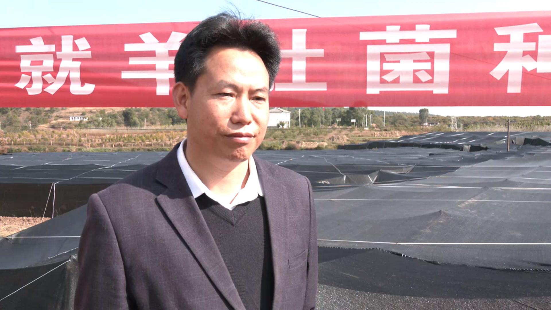 羊肚菌 熊.jpg