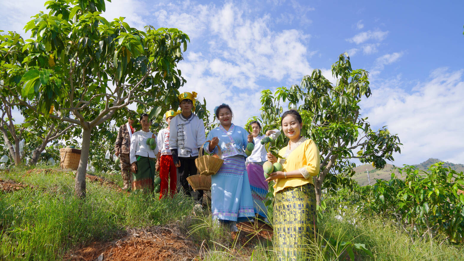 复制图片 复制图片