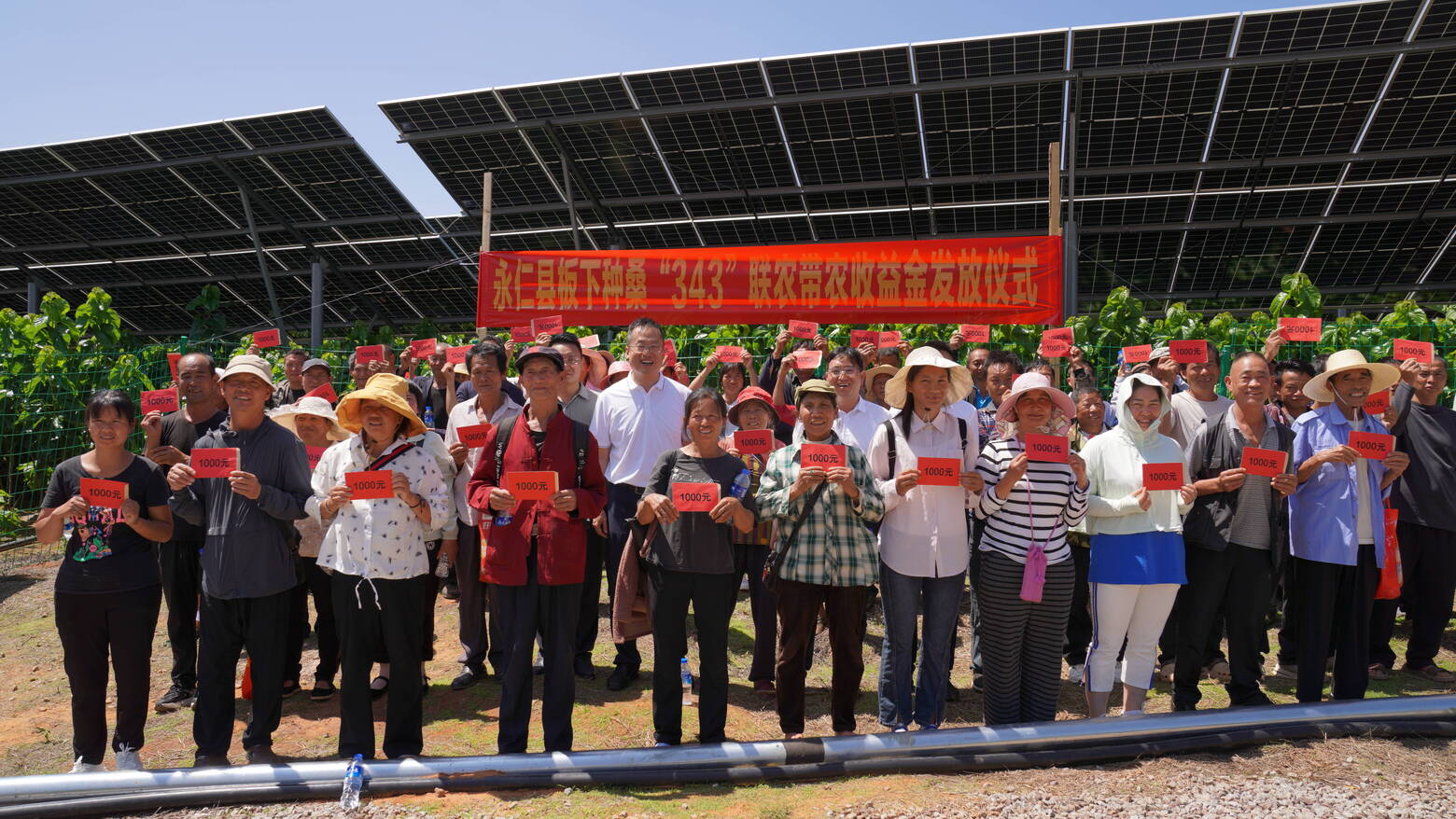 利益联结收益金发放2.JPG 利益联结收益金发放2.JPG