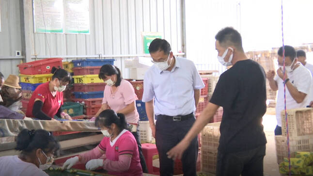 微信截图_20220822210527.png
