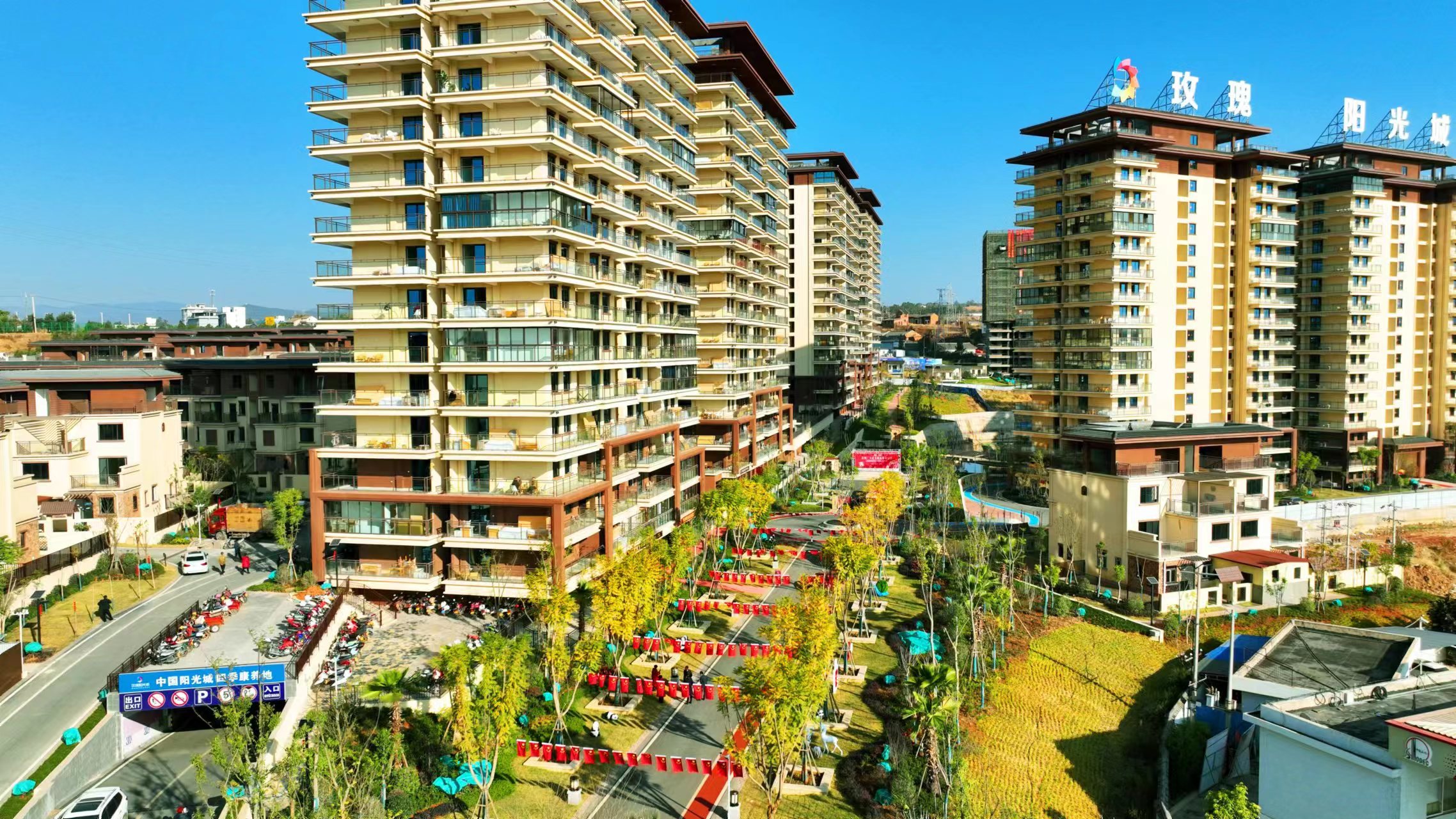 复制图片 复制图片