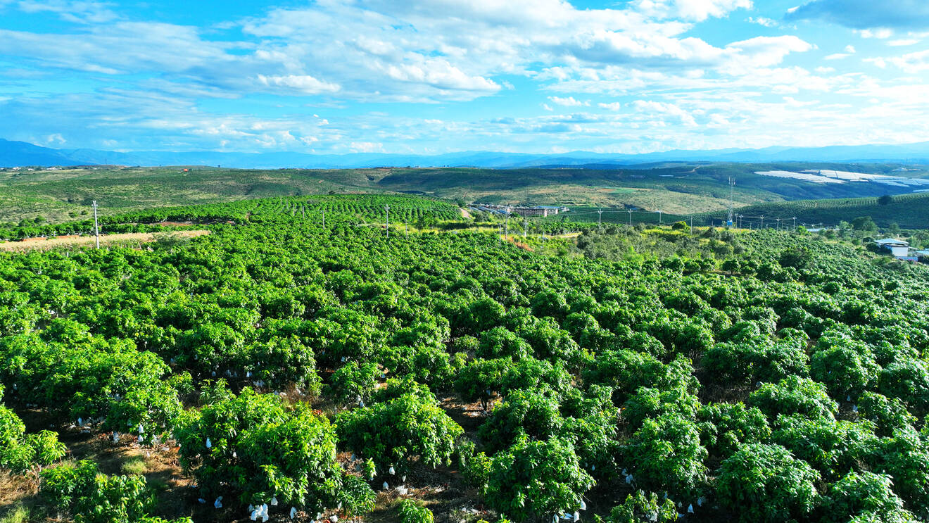 复制图片 复制图片