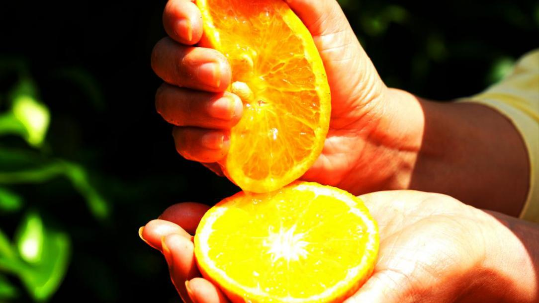 复制图片 复制图片