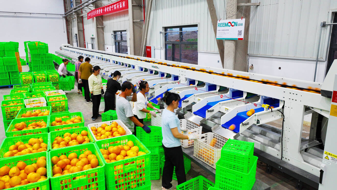 复制图片 复制图片