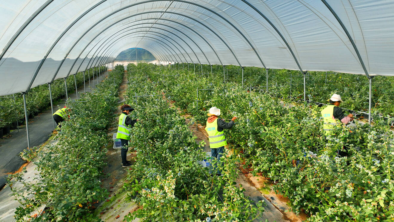 复制图片 复制图片