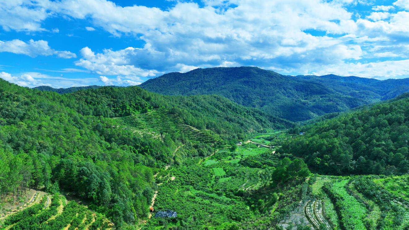 124ddea2e639194d42ca7944c9450d8.jpg 124ddea2e639194d42ca7944c9450d8.jpg