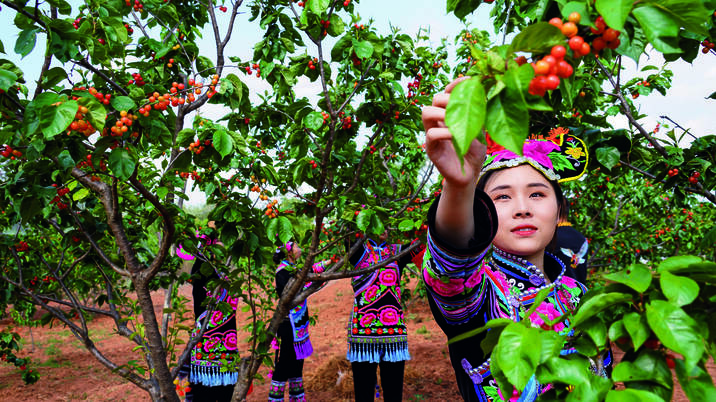 复制图片 复制图片