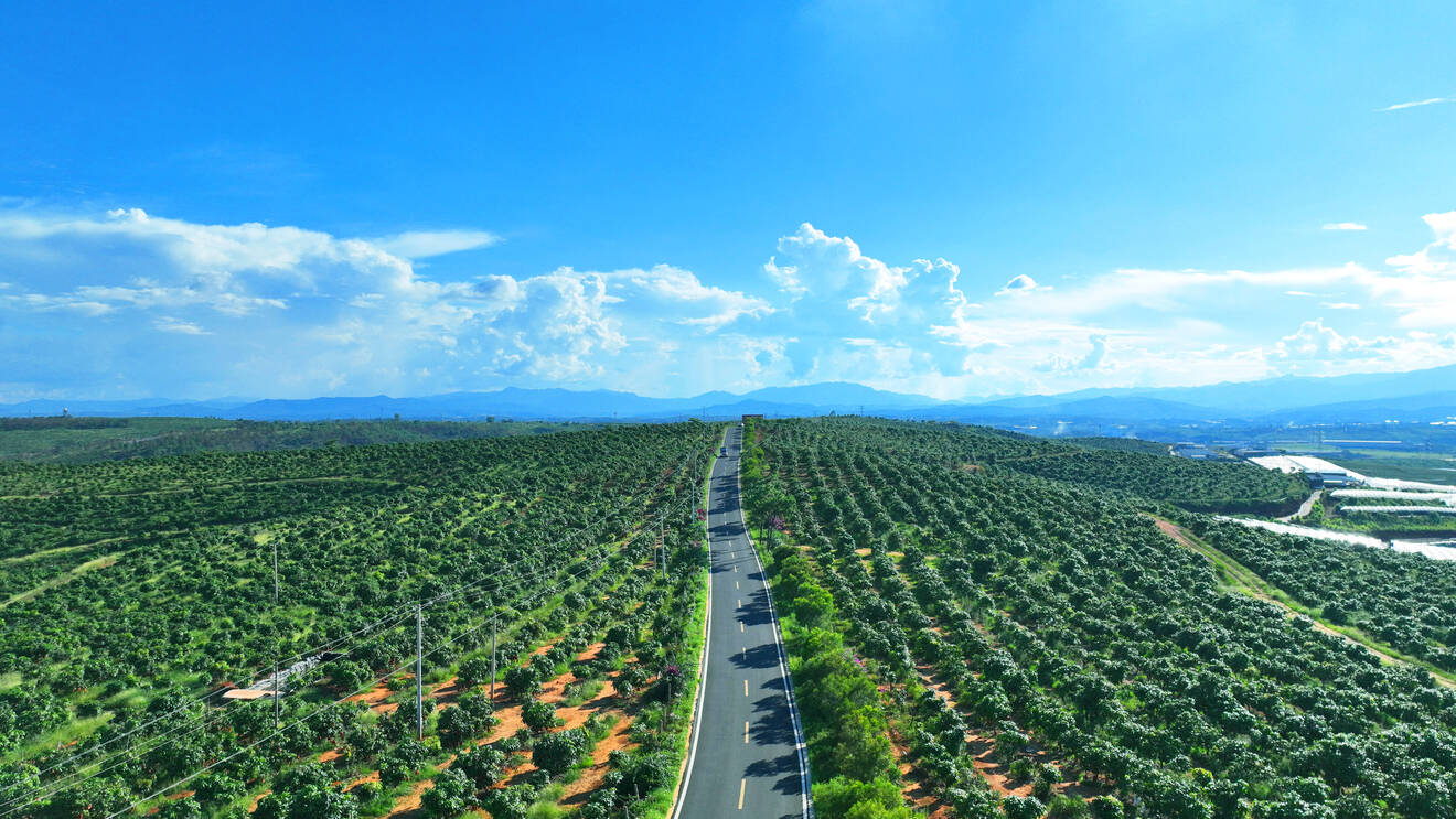 林果.jpg 林果.jpg