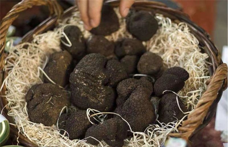 picture20211116083056