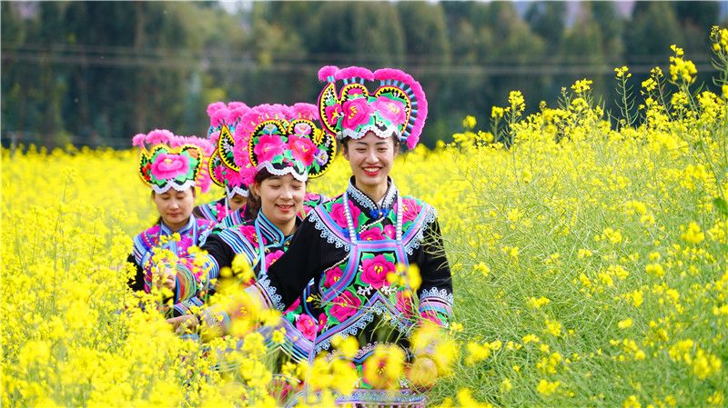 picture20211116083056