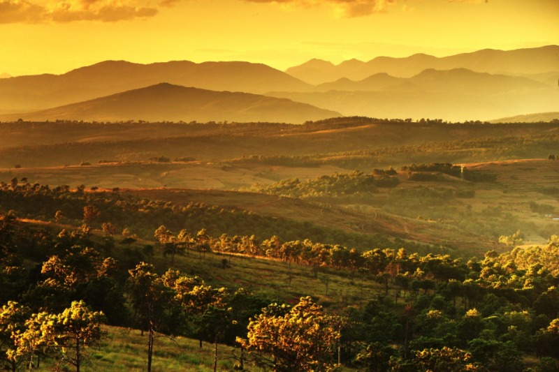 picture20211116083056