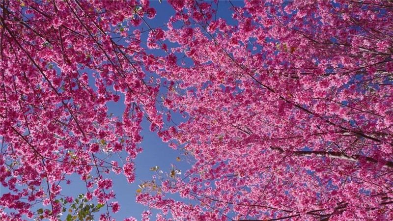 picture20211116083056