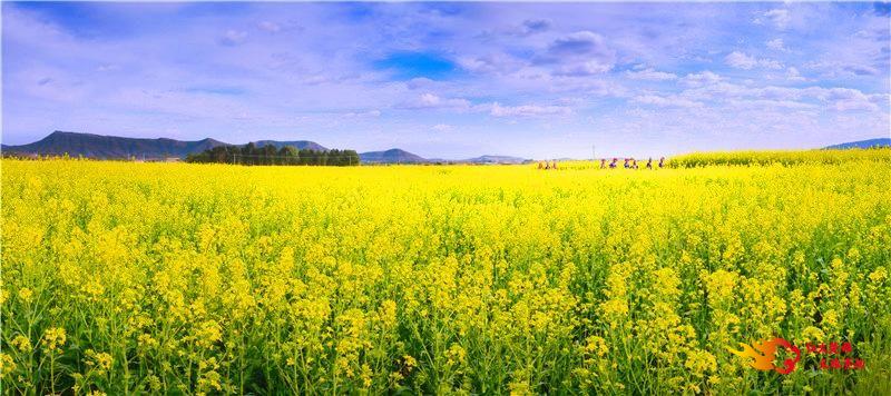 picture20211116083056