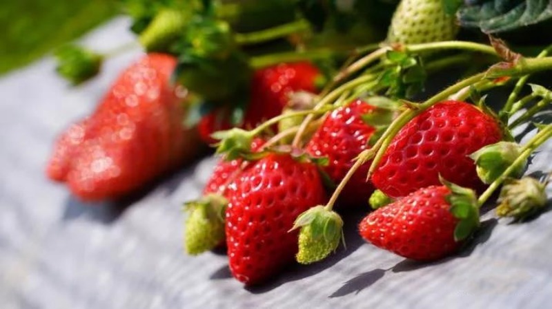 picture20211116083056