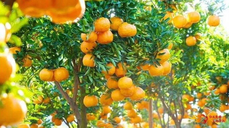 picture20211116083056