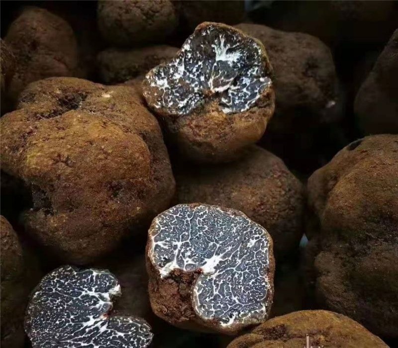 picture20211116083056