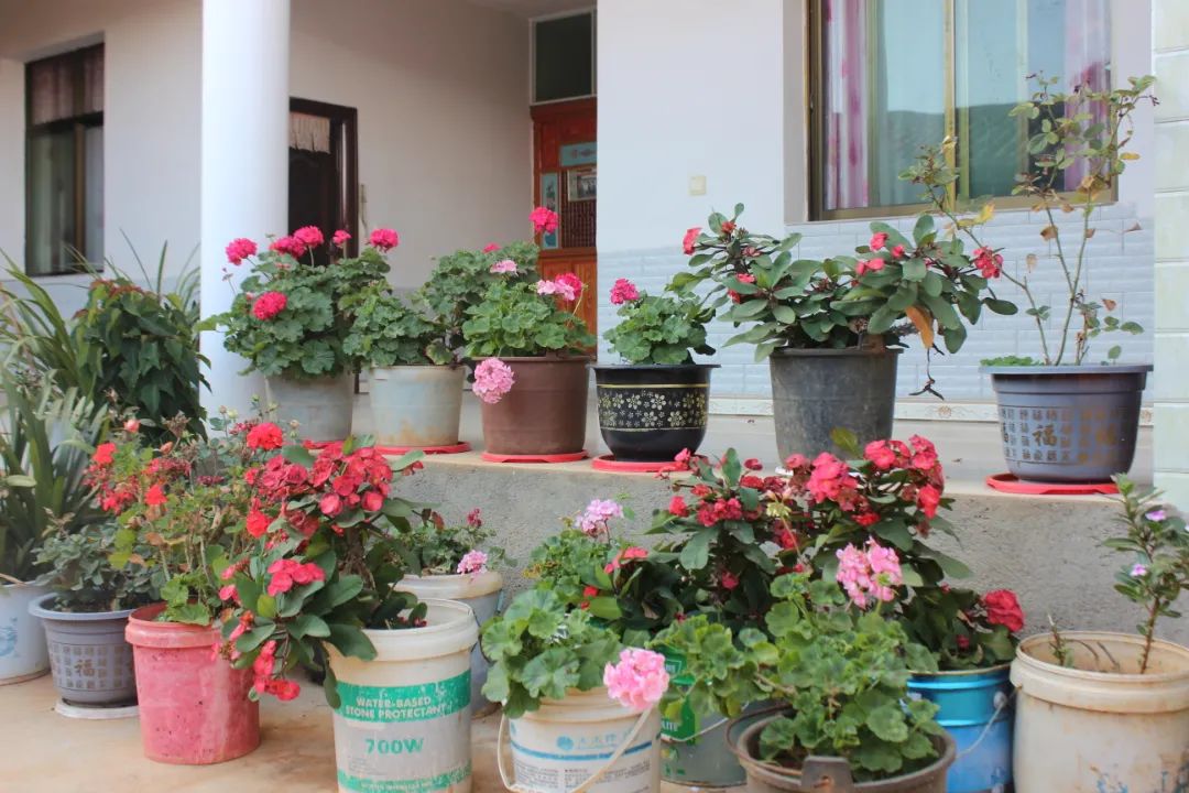 picture20211119090946