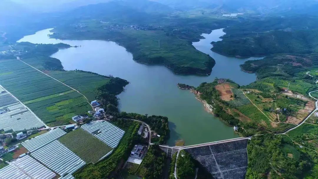 picture20211119090946